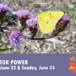 Pollinator Power