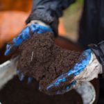 Worms Make Me Happy – Composting & Vermicomposting