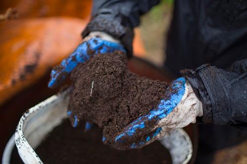 Worms Make Me Happy – Composting & Vermicomposting