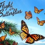 Flight of the Butterflies Outdoor Screening