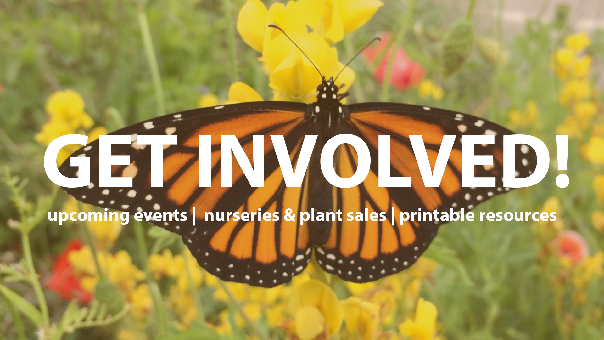 Get Involved header_Pollinator Week